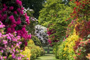 Stody Lodge Gardens, Long Walk, Urn, Norfolk