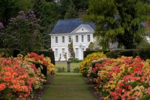 Stody Lodge Gardens, the Azalea Walk, Norfolk