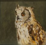 Artist Brian Korteling, 'Owl', Norfolk Showground, Oil, 30x30cm, Photo by KJW