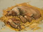 Artist Robert Nelmes, 'Rare Breed', Norfolk Showground, Oil, 30x40cm, £200