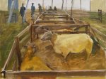 Artist Paul Alcock, 'Charollais Sheep', Norfolk Showground, Oil on board, 12x16in, £250