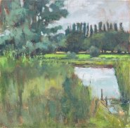 Sam Robbins, Luminous Meadow, River Yare, River Yare, Bramerton Common, Oil, xcm, £300. Paint Out Norfolk 2020