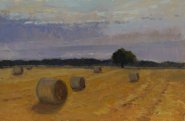 Artist Peter Fusselberger, The Barley Field, Hill Heath, Oil, 20x30cm, £350. Paint Out Norfolk 2020
