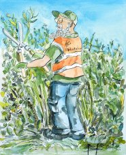 Artist Eloise O'Hare, Ranger, Whitlingham, Norfolk , Pen & Ink, 50x60in, £300. Paint Out Norfolk 2021