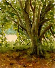 Paint Out Norfolk 2023 (Painting #43)