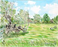 Paint Out Norfolk 2023 (Painting #227)